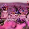 Marc Jacobs Daisy Paradise EDT 50ml