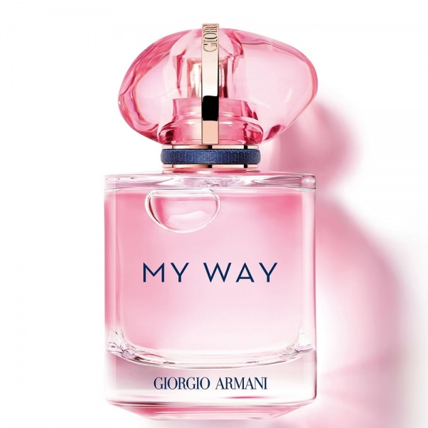Cheapest armani she perfume outlet