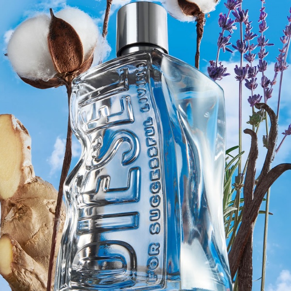 Diesel D By Diesel Eau De Toilette Spray, 3.4 Oz. - Macy's Australia