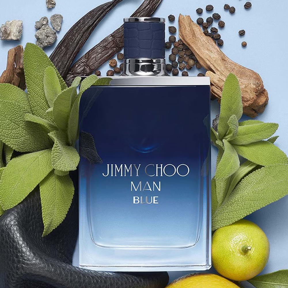parfum jimmy choo man cologne blue