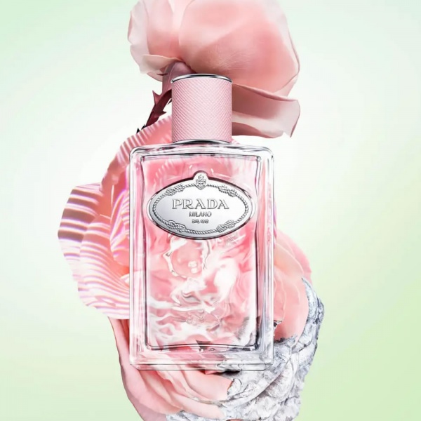 Prada Infusion de Rose EDP 100ml - perfumeuk.co.uk