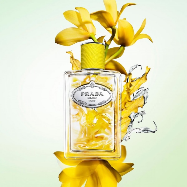 Prada Infusion d'Ylang EDP 100ml - perfumeuk.co.uk