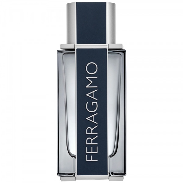 Salvatore Ferragamo Ferragamo Pour Homme EDT 100ml